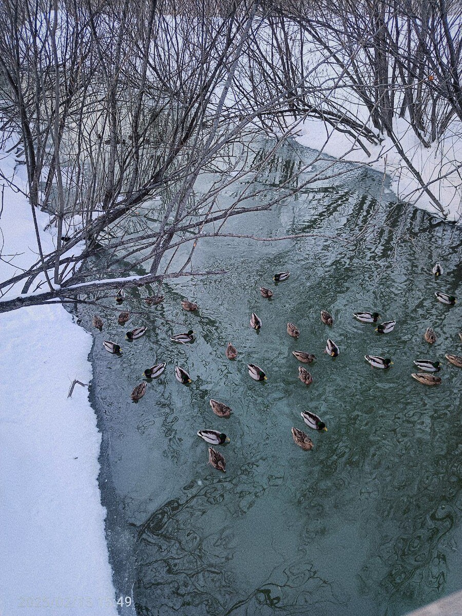Фото из личного архива. 