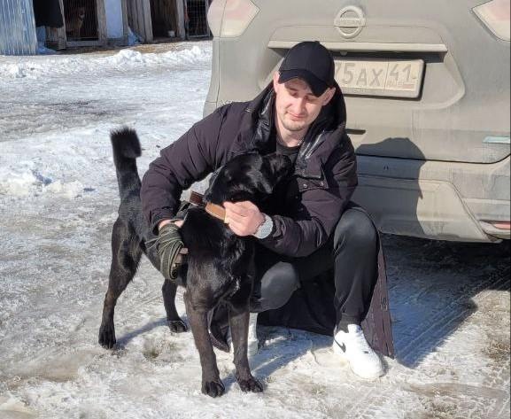 Фото: приют «Под крылом Кутха»