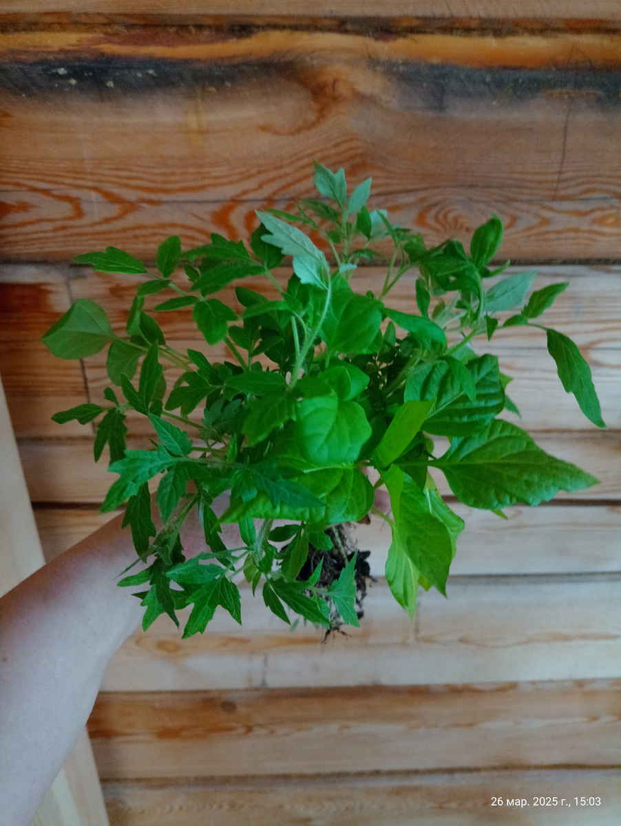 Букет не нужных 