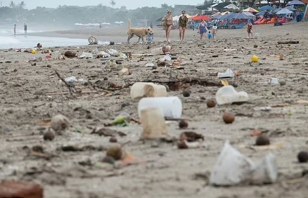  Пляж Чанггу на Бали. Bali's Canggu beach covered in debris and waste as island welcomes back Australi dailymail.co.uk dailymail.co.uk