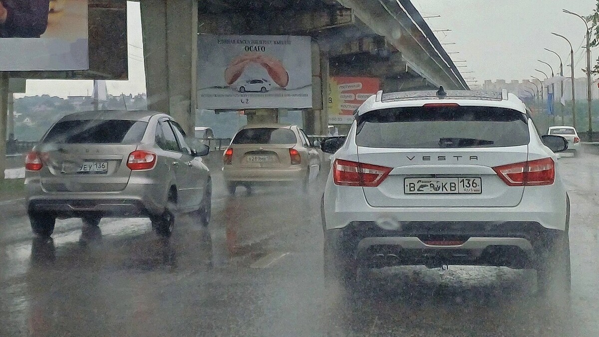     Автор: KubanPress