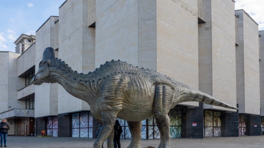    Фото: Komsomolskaya Pravda/Globallookpress