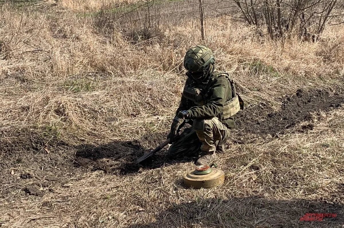    Тренировка саперов группировки «Север».