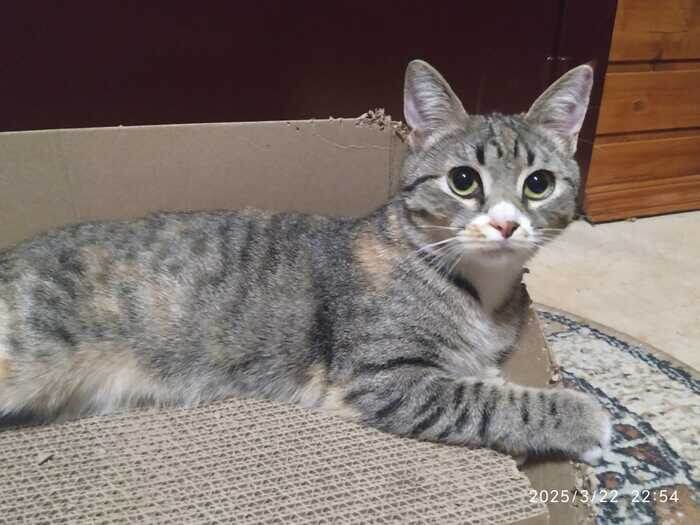 Листайте вправо, чтобы увидеть больше изображений