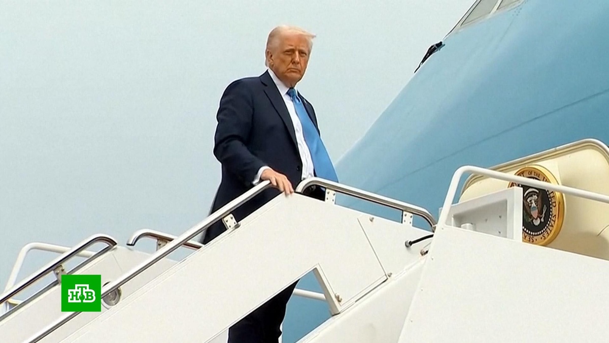    Трамп: Зеленский понимает, что Украина не станет членом НАТО