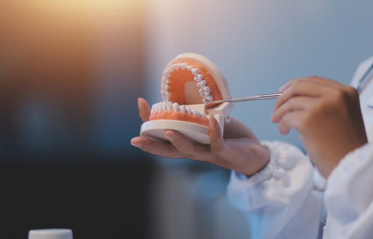    Shutterstock/FOTODOM