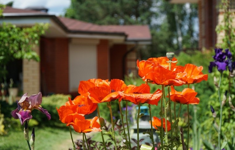    Shutterstock/FOTODOM