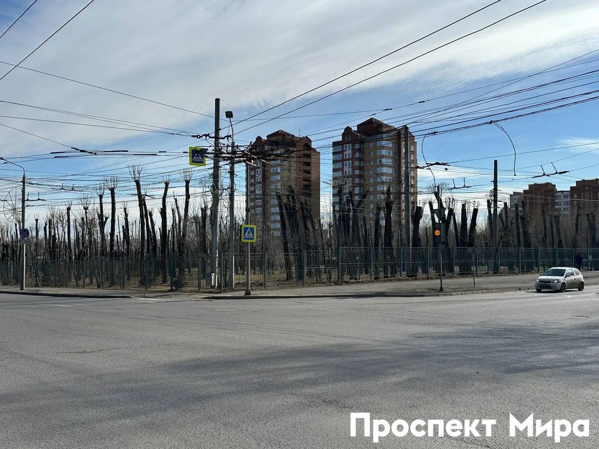    Фото: Проспект Мира