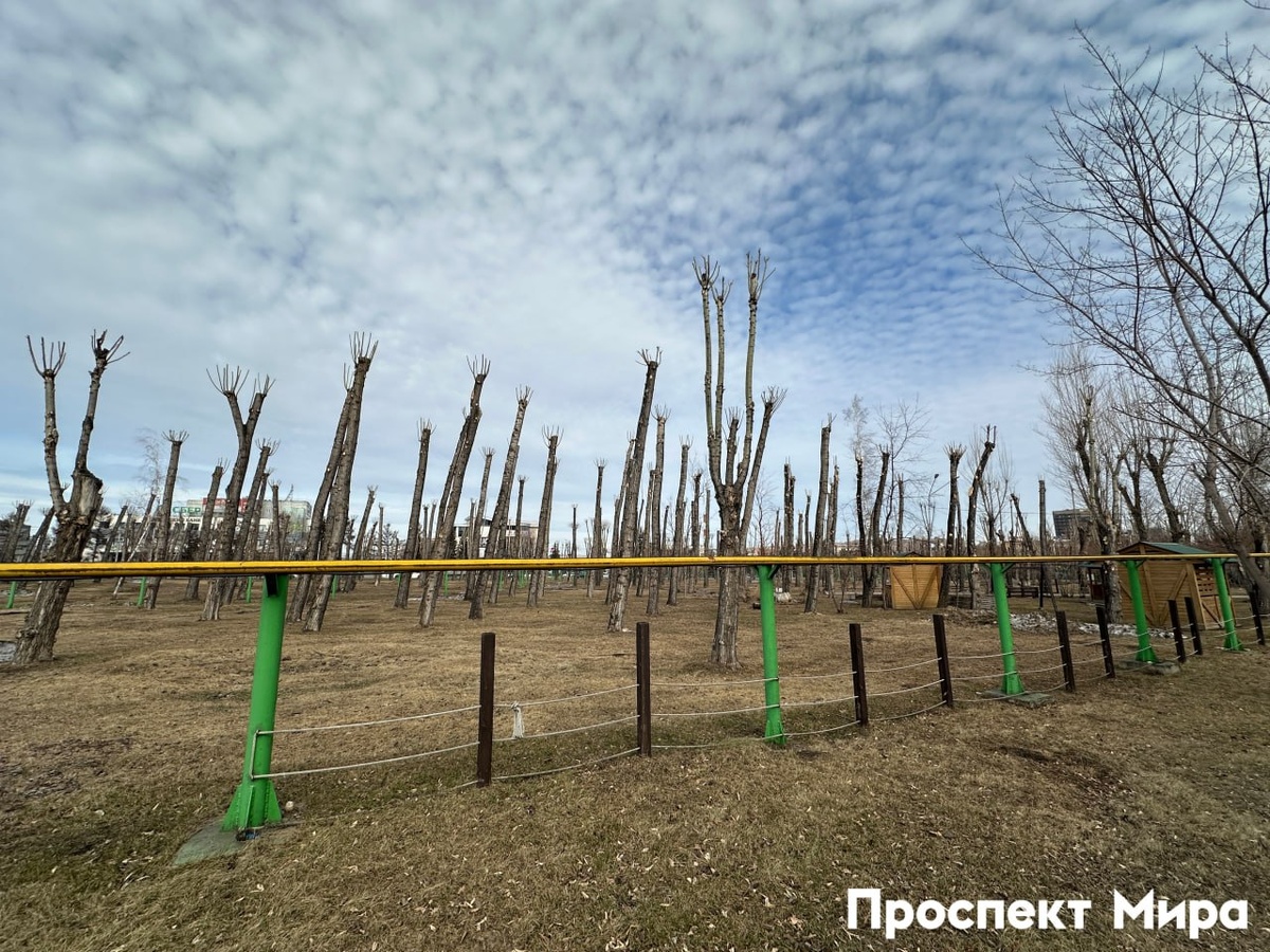    Фото: Проспект Мира