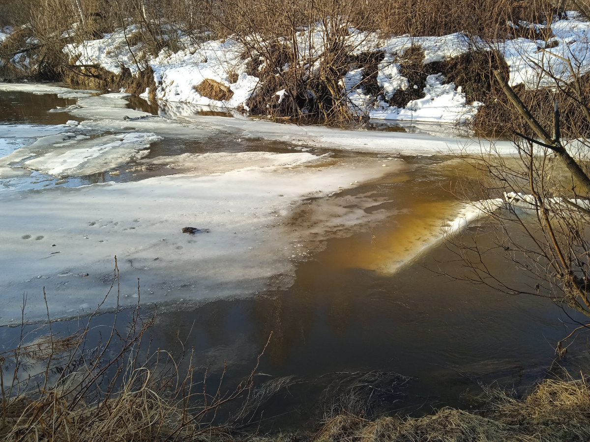 На этом повороте летом ловлю окуней