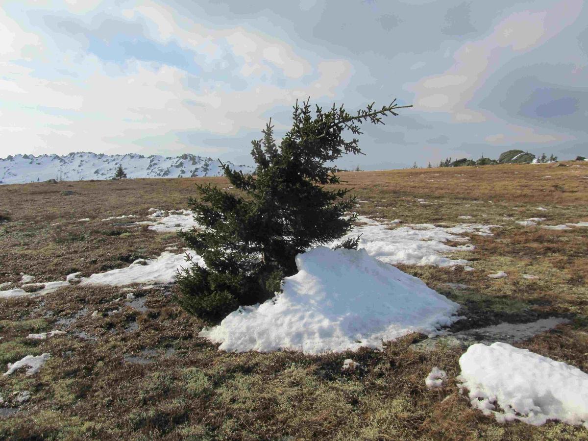 Дальний Таганай. 15 марта 