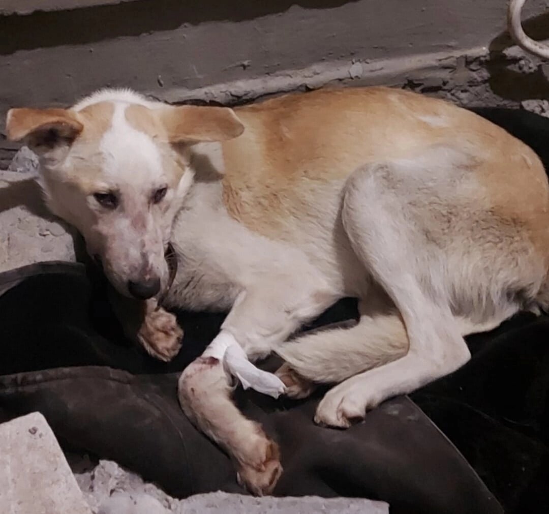 Бруклин два дня тихо умирал на ступеньках магазина