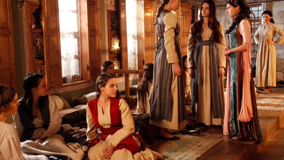 Пышные формы и соболиные брови: кого на самом деле ценили в султанском гареме?