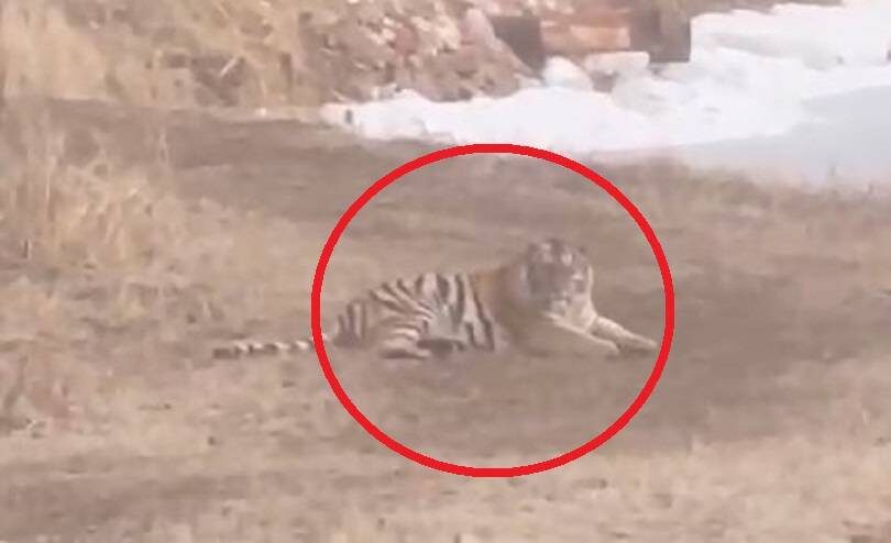    Источник фото: