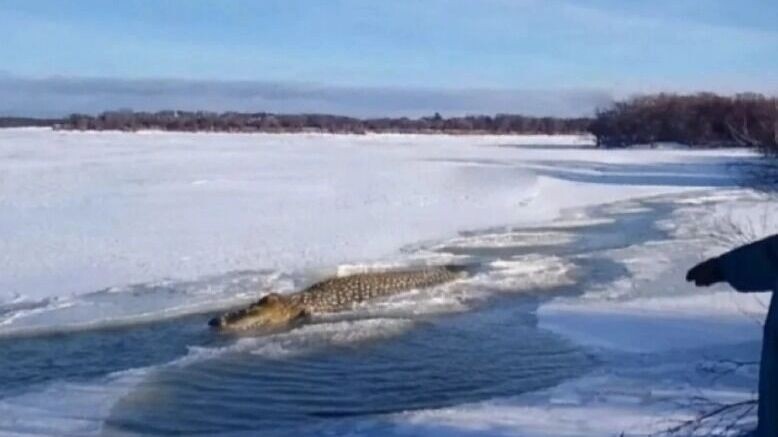     Источник: Telegram «Город54»