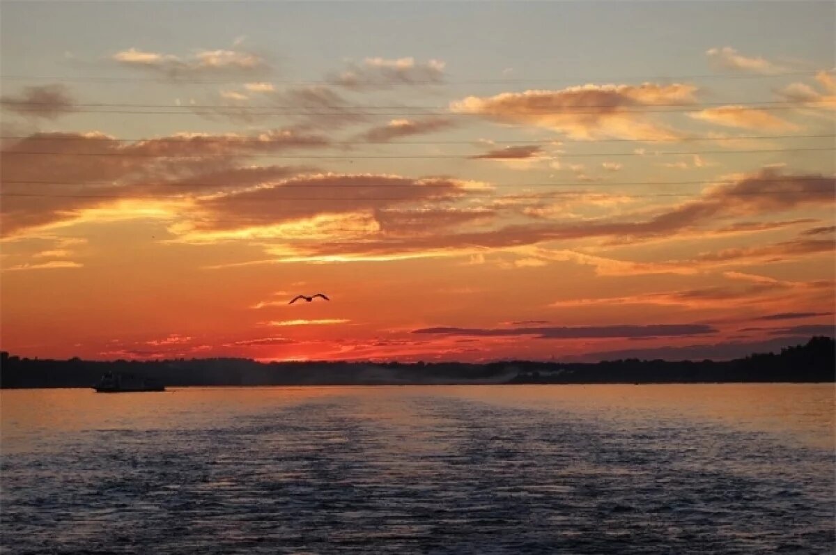    В Ярославской области приостановили работу Угличской ГЭС