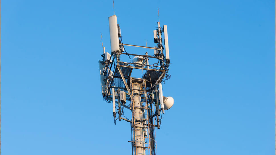 Фото: Игорь Елисеев / Коммерсантъ