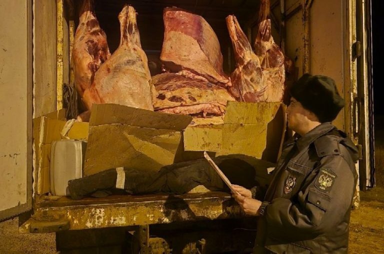   В Оренбуржье пресекли вывоз более двух тонн конины Оренбуржье