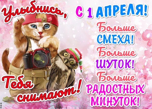 -6