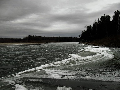 Фотографии Татьяны Немшановой. Ледостав на реке Манья. Северная осень. Октябрь.  Крайний Север, Западная Сибирь, Приполярный Урал, Зауралье, Тайга ХМАО Югра.  забереги. Идёт шуга.