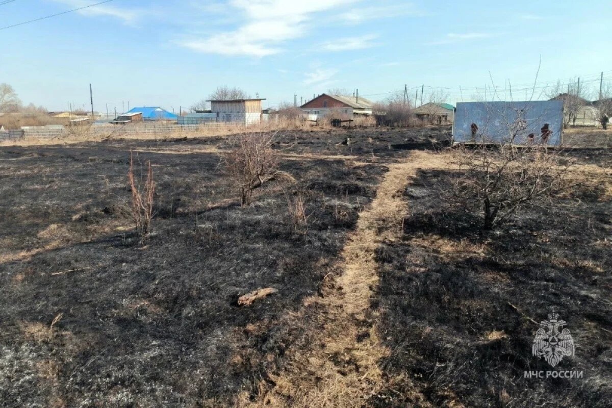    Сухая трава загорелась рядом с домами в селе Аргаяш Челябинской области