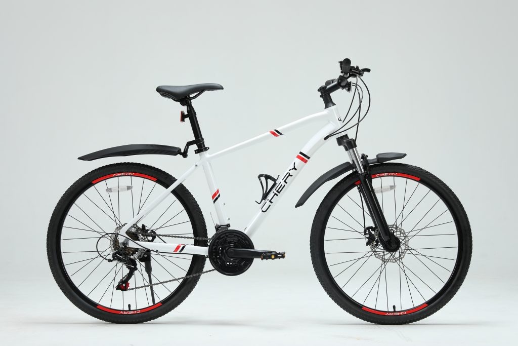 Велосипеды Chery доступны к покупке у дилеров, на официальном сайте бренда и на маркетплейсе Ozon.