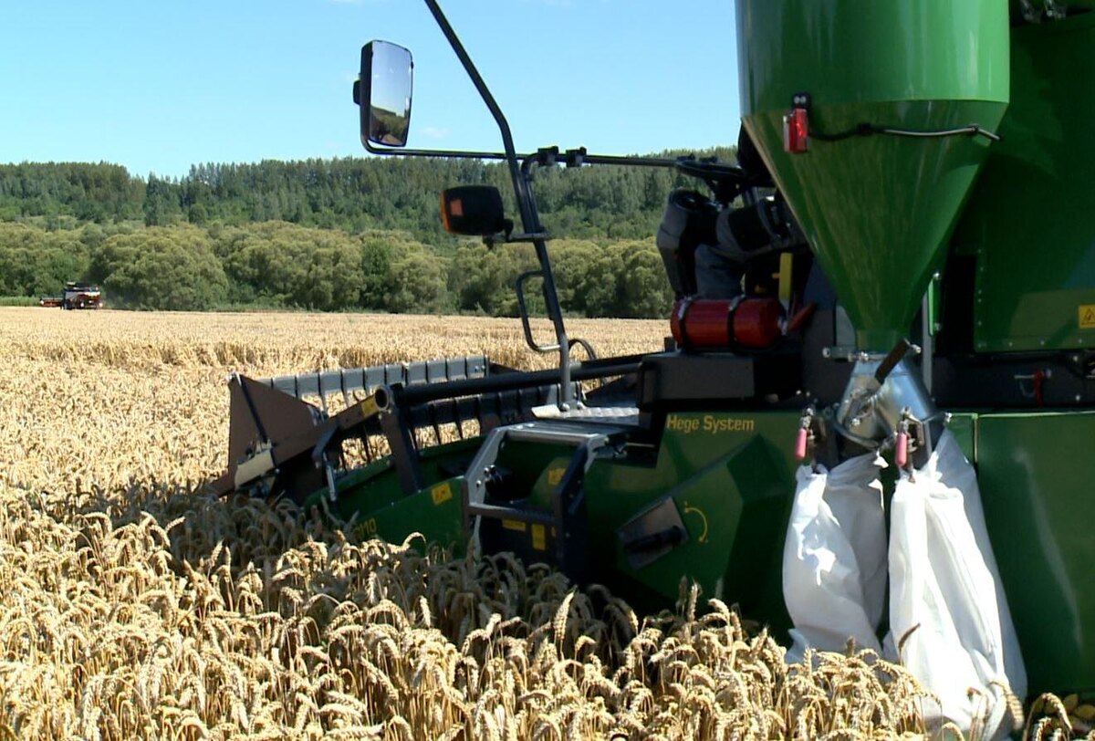    Как Норман Борлоуг спас миллиарды от голода