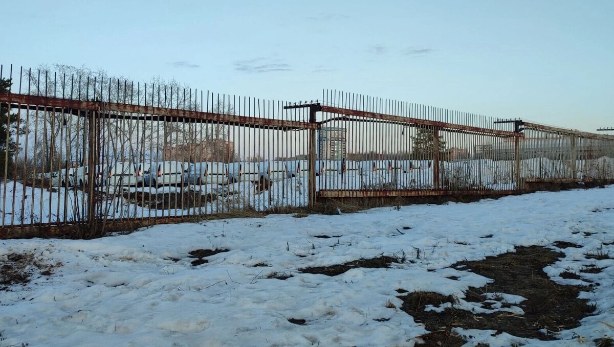     Автор: Сергей Савинов Источник: udm-info.ru