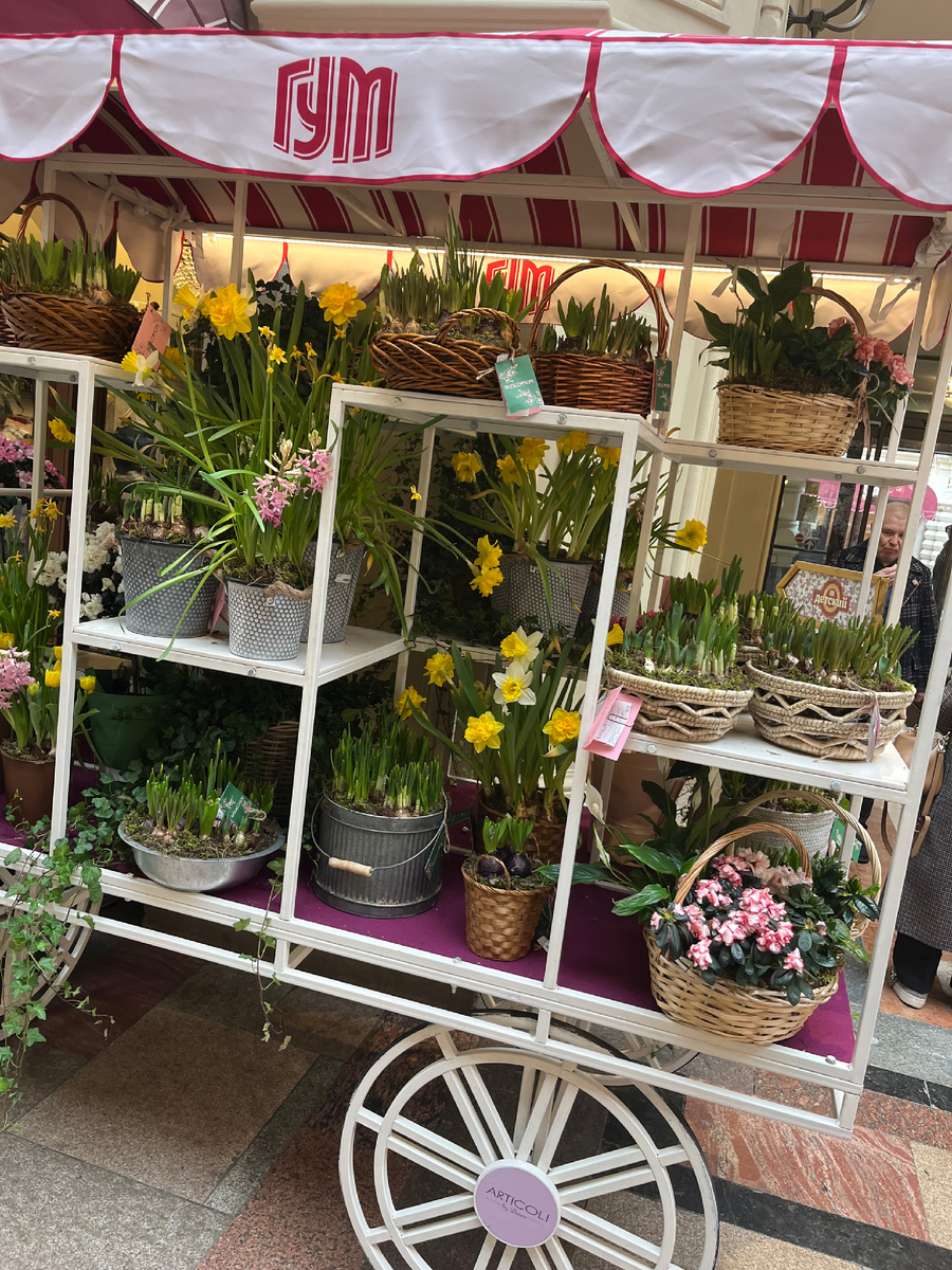 Фото автора. Тележка у цветочного магазина в ГУМе. Цена начинается от 10000 за тазик, корзиночку. Но КРАСИВО!🌷