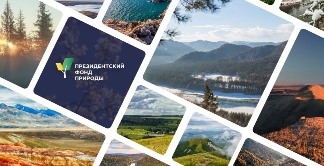    Фото: президентскийфондприроды.рф