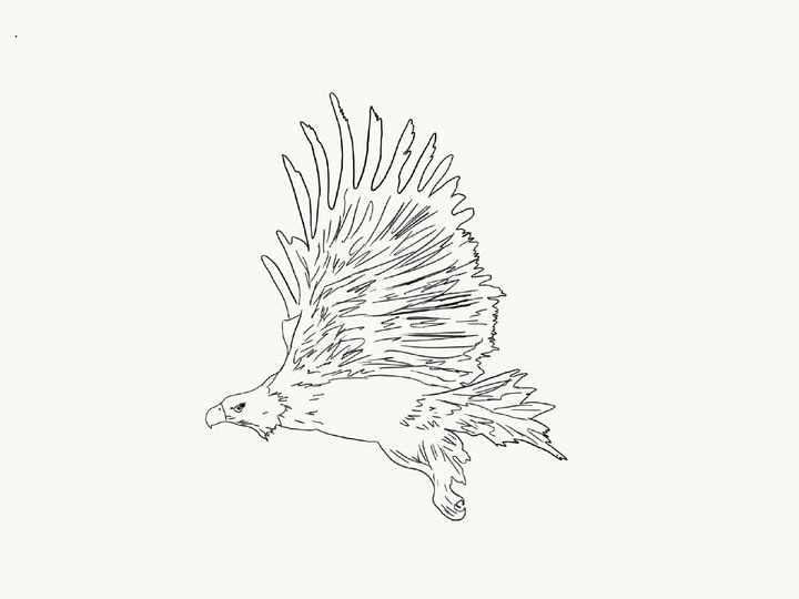 ... куда и зачем?...