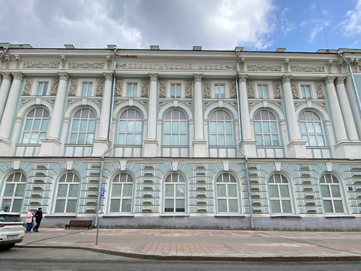 Фото автора канала. Зоологический музей МГУ. 
