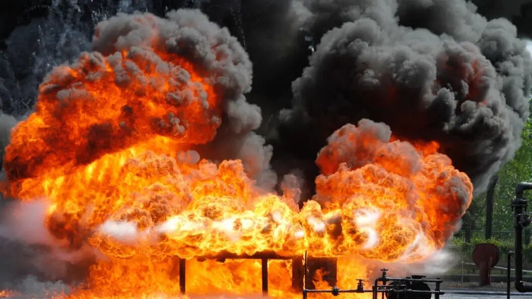    фото: shutterstock