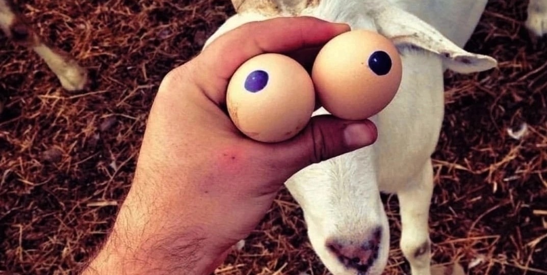 Как Рахвалов Тоболкина разыграл и другое…