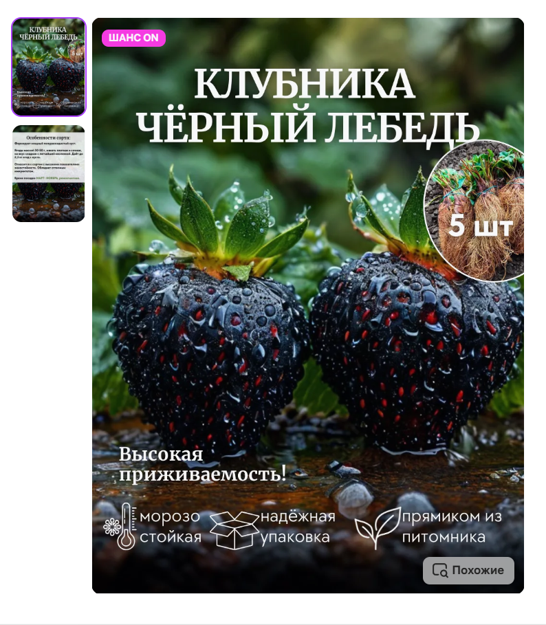 Фото с маркетплейса: клубника Черный Лебедь