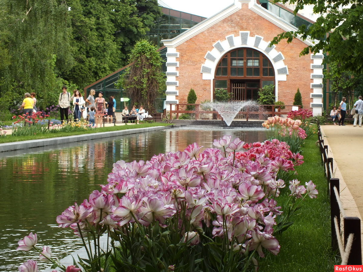 Фото из открытых источников интернет