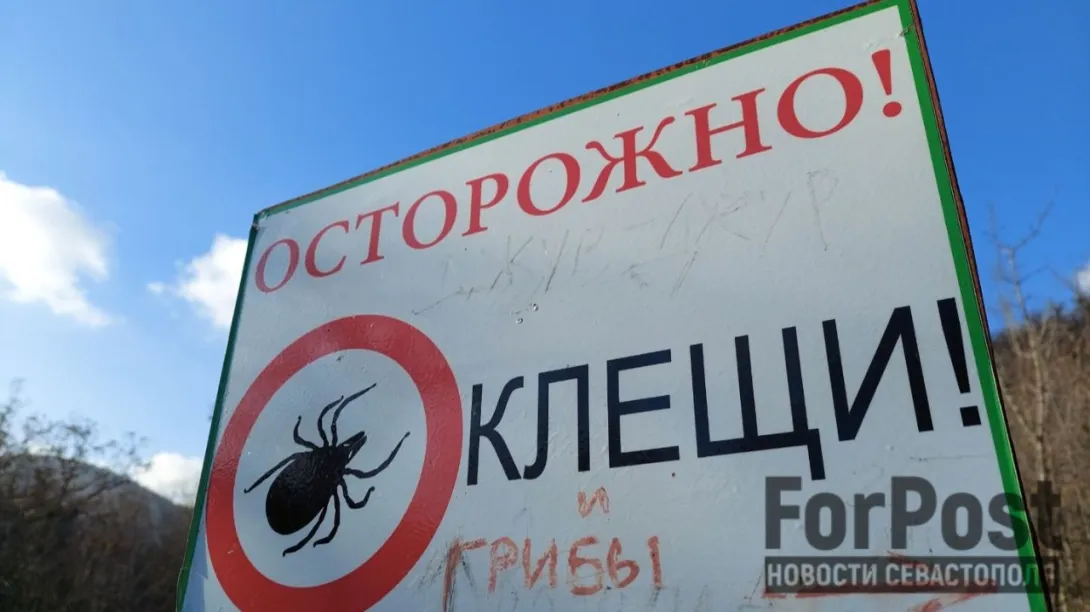 Фото:
Пелагея Попова / ForPost