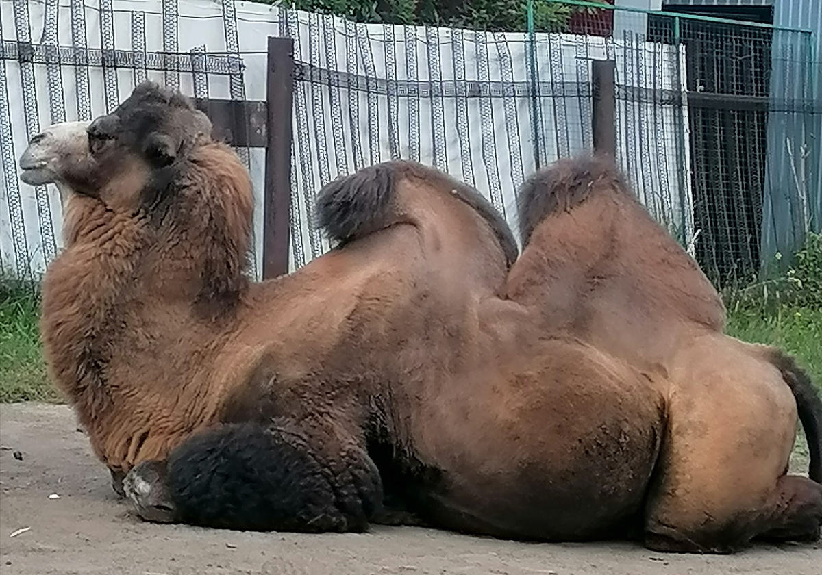 Вот уж кому плевать на тренды, а выглядит шикарно.