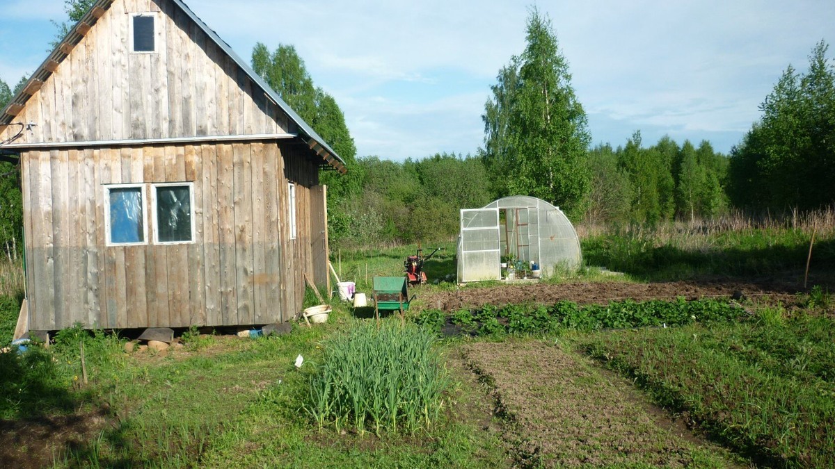Вот так теперь выглядит наш огород на  дернине)