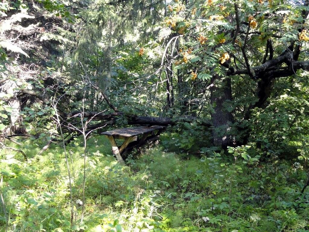 
Село Ильнеть. Фото: из открытых источникв (группа села ВКонтакте)
Предоставлено автором