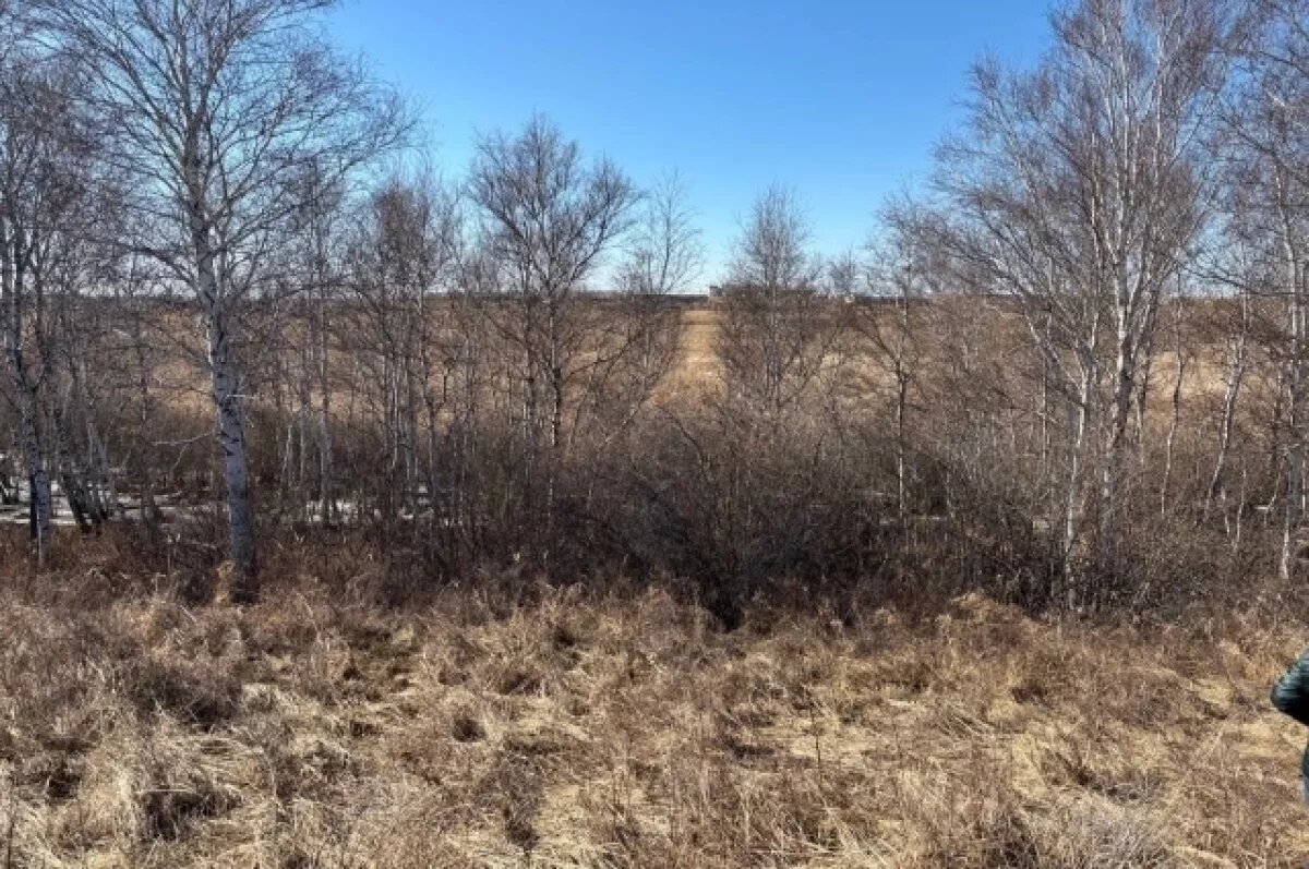    В Троицке мужчина забил собутыльника и спрятал труп в лесу