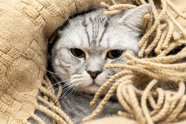    Фото из архива VN.ru