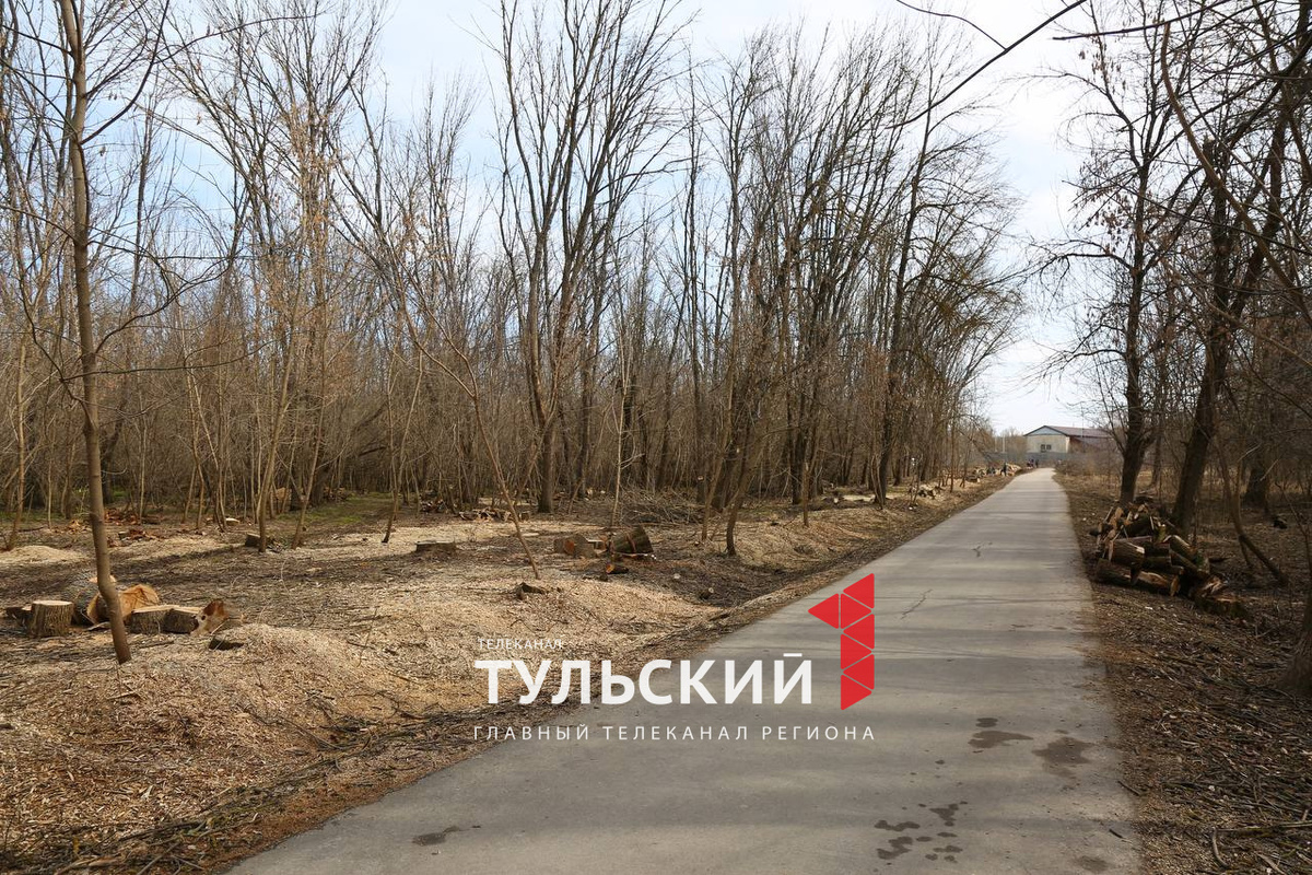 Автор: Первый Тульский