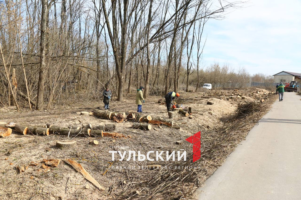 Автор: Первый Тульский