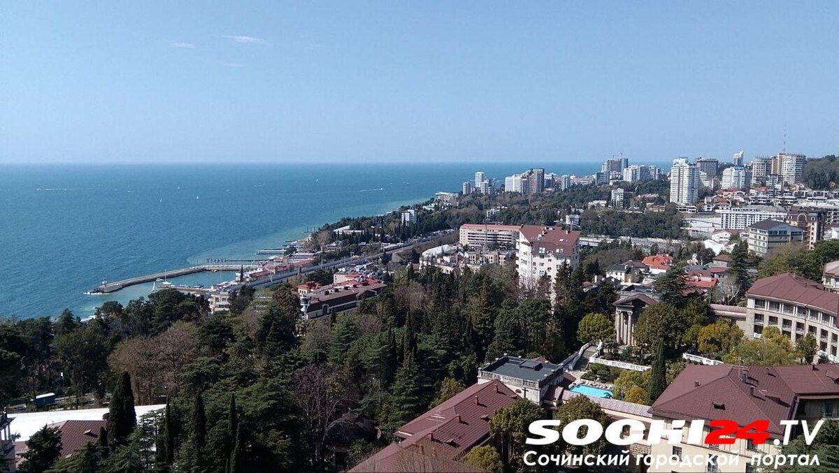 фото: Сочи 24  📷
