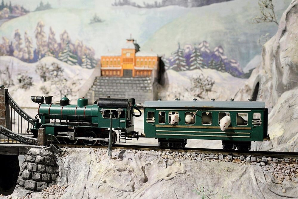 "Мышиная железная дорога" театра "Уголок дедушки Дурова"