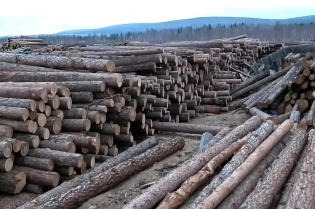    Жителя РА обвиняют в незаконной рубке леса на сумму более 1,3 млн рублей