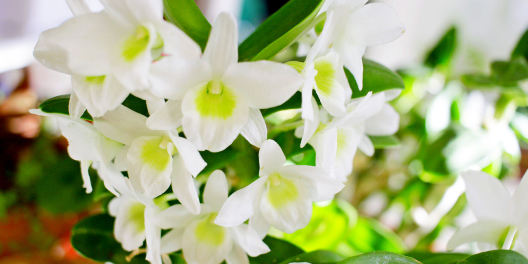 Леточка отпраздновала годик, моя коллекция сократилась до 500 наименований. Я умница, а вы?