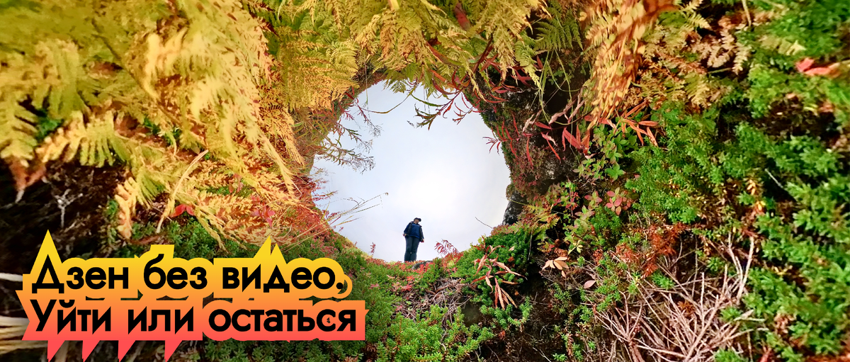 На перепутье