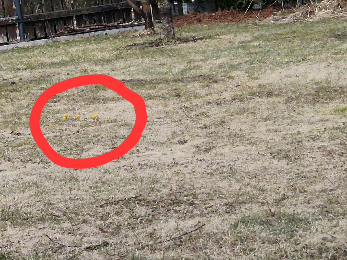 Реальность. 